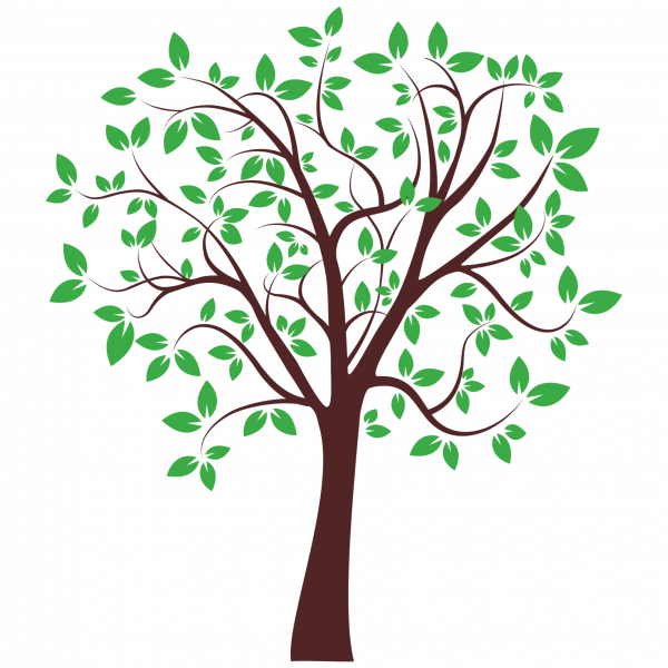 Auf dem Bild ist das Produkt: Baum mit Blättern (2farbig) zum Preis von €24.90 abgebildet.