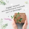 Auf dem Bild ist das Produkt: Taufkerze Blätter Kreuz Kerze zur Taufe mit Namen Junge Mädchen Personalisiert Datum Taufspruch zum Preis von €5.90 abgebildet.