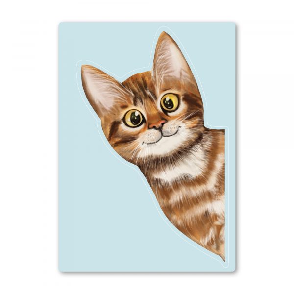 Auf dem Bild ist das Produkt: Fensterbild ins Fenster reinschauende Katze Fensterdeko Kinderzimmer Kind Osterdeko Frühlingsdeko zum Preis von €13.9 abgebildet.