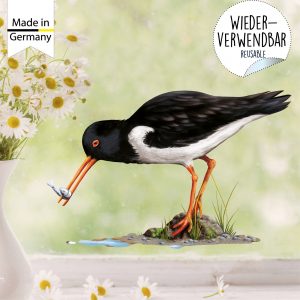 Auf dem Bild ist das Produkt: Fensterbild Frühling Austernfischer mit Fisch maritim Ostsee Nordsee Urlaub Fensterdeko Kinderzimmer Kind Osterdeko Frühlingsdeko Vögel zum Preis von €14.9 abgebildet.