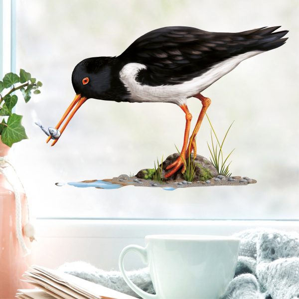 Auf dem Bild ist das Produkt: Fensterbild Frühling Austernfischer mit Fisch maritim Ostsee Nordsee Urlaub Fensterdeko Kinderzimmer Kind Osterdeko Frühlingsdeko Vögel zum Preis von €14.9 abgebildet.