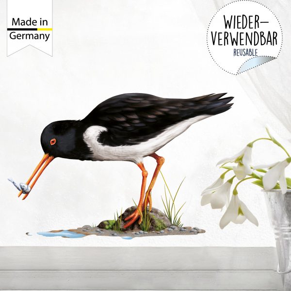 Auf dem Bild ist das Produkt: Fensterbild Frühling Austernfischer mit Fisch maritim Ostsee Nordsee Urlaub Fensterdeko Kinderzimmer Kind Osterdeko Frühlingsdeko Vögel zum Preis von €14.9 abgebildet.