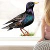 Auf dem Bild ist das Produkt: Fensterbild Frühling Star Fensterdeko Kinderzimmer Kind Osterdeko Frühlingsdeko Vögel zum Preis von €14.9 abgebildet.