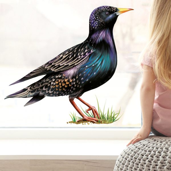 Auf dem Bild ist das Produkt: Fensterbild Frühling Star Fensterdeko Kinderzimmer Kind Osterdeko Frühlingsdeko Vögel zum Preis von €14.9 abgebildet.