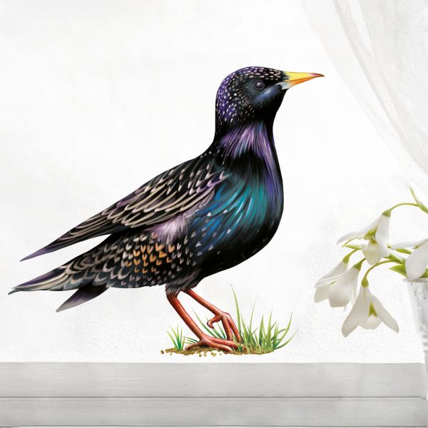 Auf dem Bild ist das Produkt: Fensterbild Frühling Star Fensterdeko Kinderzimmer Kind Osterdeko Frühlingsdeko Vögel zum Preis von €14.9 abgebildet.