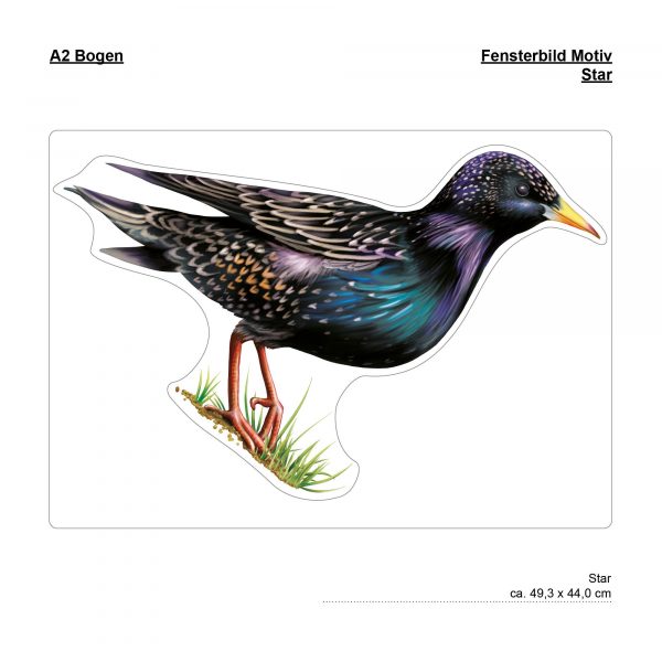 Auf dem Bild ist das Produkt: Fensterbild Frühling Star Fensterdeko Kinderzimmer Kind Osterdeko Frühlingsdeko Vögel zum Preis von €14.9 abgebildet.