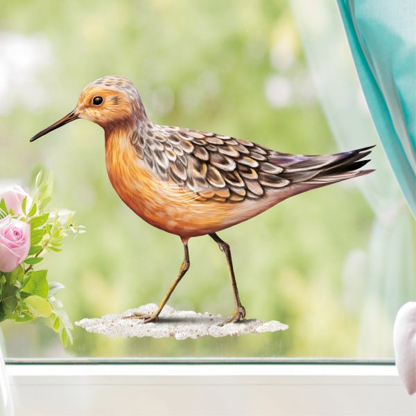 Auf dem Bild ist das Produkt: Fensterbild Frühling Strandläufer maritim Ostsee Urlaub Fensterdeko Kinderzimmer Kind Osterdeko Frühlingsdeko Vögel zum Preis von €14.9 abgebildet.