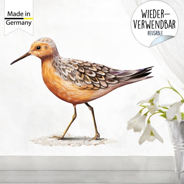 Auf dem Bild ist das Produkt: Fensterbild Frühling Strandläufer maritim Ostsee Urlaub Fensterdeko Kinderzimmer Kind Osterdeko Frühlingsdeko Vögel zum Preis von €14.9 abgebildet.