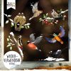 Auf dem Bild ist das Produkt: Fensterbild Weihnachten Winter Vögel Set mit Schnee, Fensterdeko winterlich, Adventsdeko zum Preis von €13.90 abgebildet.