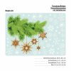 Auf dem Bild ist das Produkt: Fensterbild Weihnachten Tannenzweige mit Sterne in Holzoptik und Schneeflocken, Fensteraufkleber, Weihnachtsdekoration zum Preis von €13.90 abgebildet.
