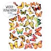Auf dem Bild ist das Produkt: Fensterbild Frühling 30 Schmetterlinge bunt, verschiedene Farben zur Auswahl pastell, Fensterdekoration Frühling Kinderzimmer zum Preis von €9.9 abgebildet.