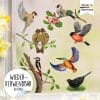 Auf dem Bild ist das Produkt: Fensterbild Frühling Vogel Vögel Vogelset bunt farbig wiederverwendbare Fensteraufkleber Kinderzimmer Baby Kind, Osterdeko, Frühlingsdeko zum Preis von €13.90 abgebildet.