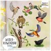 Auf dem Bild ist das Produkt: Fensterbild Frühling Vogel Vögel Vogelset bunt farbig wiederverwendbare Fensteraufkleber Kinderzimmer Baby Kind, Osterdeko, Frühlingsdeko zum Preis von €13.90 abgebildet.