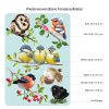 Auf dem Bild ist das Produkt: Wiederverwendbares Fensterbild Frühling Vögel Vogelset Fensteraufkleber Kinderzimmer Baby Kind, Frühlingsdeko, Osterdeko zum Preis von €14.9 abgebildet.