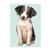 Auf dem Bild ist das Produkt: Fensterbild Hund Australian Shepherd, Fensterdeko Kinderzimmer Kind Osterdeko Frühlingsdeko zum Preis von €14.9 abgebildet.