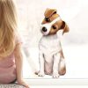 Fensterbild Hund Haustier Jack Russel Terrier, Fensterdeko Kinderzimmer Kind Osterdeko Frühlingsdeko Auf dem Bild ist das Produkt: Fensterbild Hund Haustier Jack Russel Terrier, Fensterdeko Kinderzimmer Kind Osterdeko Frühlingsdeko zum Preis von €14.9 abgebildet.