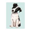 Fensterbild Hund Haustier Jack Russel Terrier, Fensterdeko Kinderzimmer Kind Osterdeko Frühlingsdeko Auf dem Bild ist das Produkt: Fensterbild Hund Haustier Jack Russel Terrier, Fensterdeko Kinderzimmer Kind Osterdeko Frühlingsdeko zum Preis von €14.9 abgebildet.