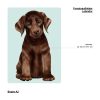 Auf dem Bild ist das Produkt: Fensterbild Hund Labrador in verschiedenen Farben – Fensterdeko für das Kinderzimmer zum Preis von €14.9 abgebildet.