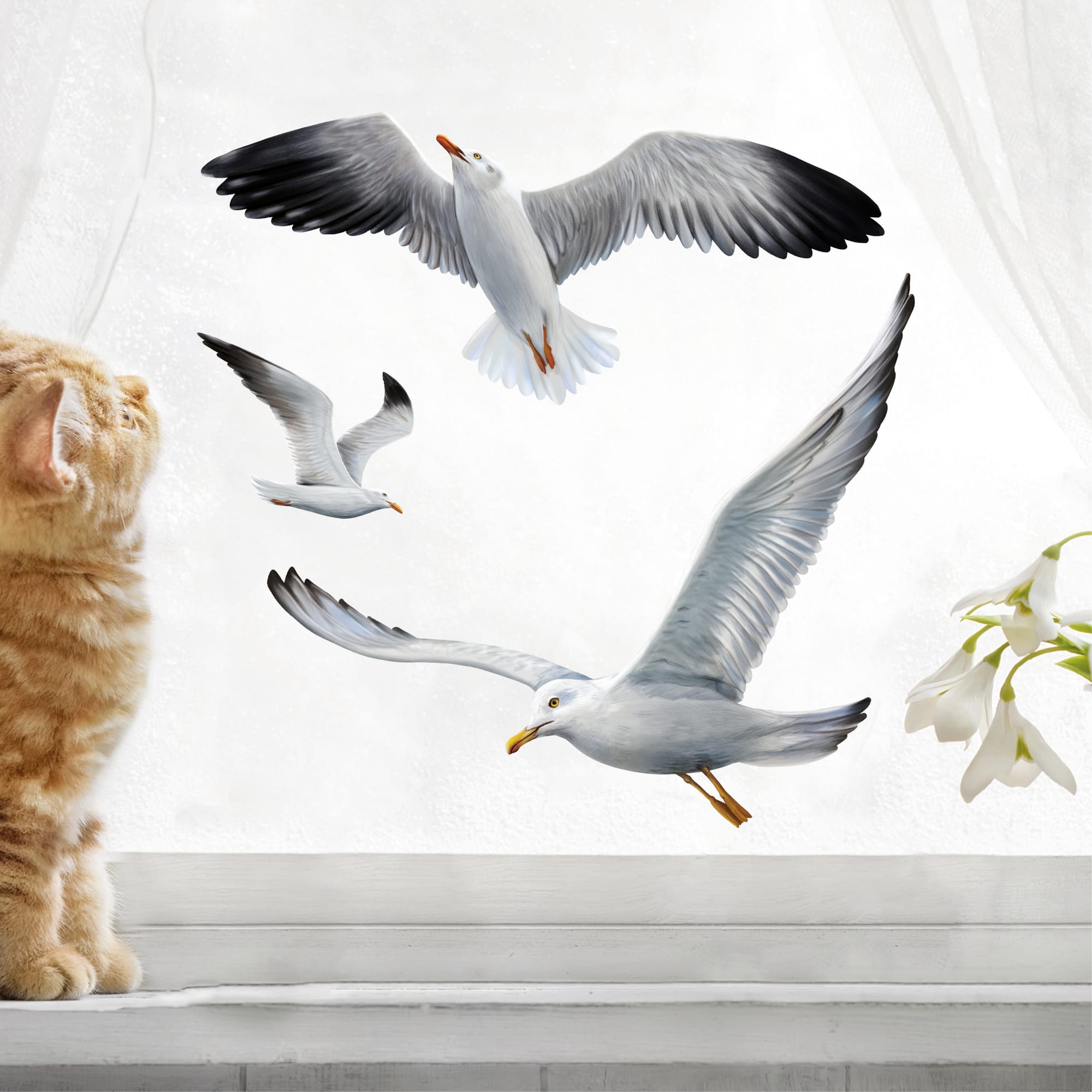 Fensterbild Frühling Möwen Möwe fliegend maritim Ostsee Urlaub Fensterdeko Kinderzimmer Kind Osterdeko Frühlingsdeko Vögel