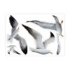 Auf dem Bild ist das Produkt: Fensterbild Frühling Möwen Möwe fliegend maritim Ostsee Urlaub Fensterdeko Kinderzimmer Kind Osterdeko Frühlingsdeko Vögel zum Preis von €13.90 abgebildet.