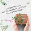 Auf dem Bild ist das Produkt: Wandtattoo Kinderzimmer Savanne mit Bäumen Löwe und Vögeln Dekoration Babyzimmer Tiere Natur zum Preis von €49.9 abgebildet.