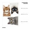 Auf dem Bild ist das Produkt: Fensterbild Katzen Siamkatze Perserkatze Katzenrassen, Fensterdeko Kinderzimmer Kind Osterdeko Frühlingsdeko zum Preis von €14.9 abgebildet.