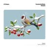 Fensterbild Winter Vogel Stieglitz Wiederverwendbar Wintermotiv Weihnachtsdekoration Fensteraufkleber Auf dem Bild ist das Produkt: Fensterbild Winter Vogel Stieglitz Wiederverwendbar Wintermotiv Weihnachtsdekoration Fensteraufkleber zum Preis von €13.90 abgebildet.