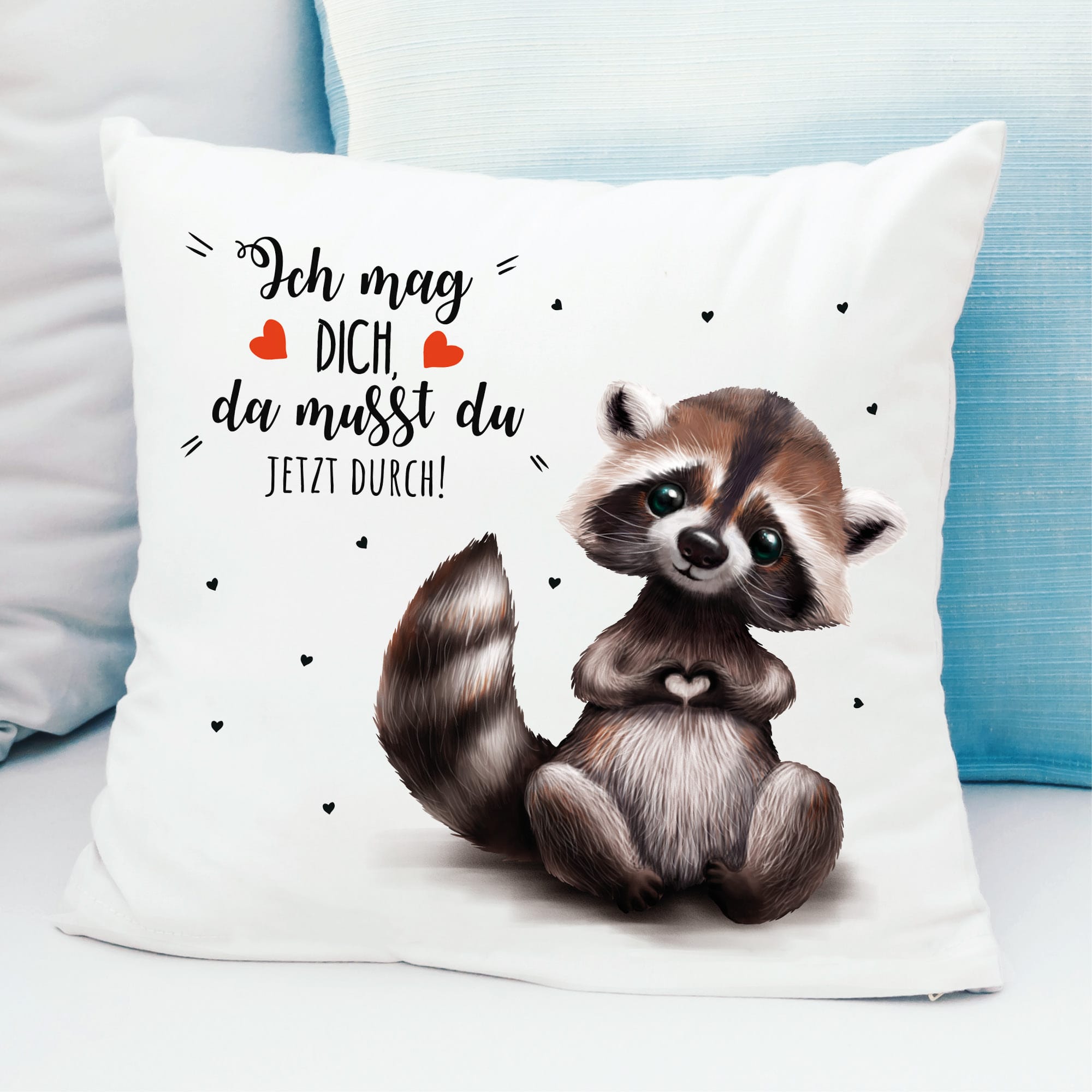 Auf dem Bild ist das Produkt: Deko Kissen Waschbär ich mag dich Geschenk Geburtstag 40 x 40 cm mit Füllung zum Preis von €11.90 abgebildet.