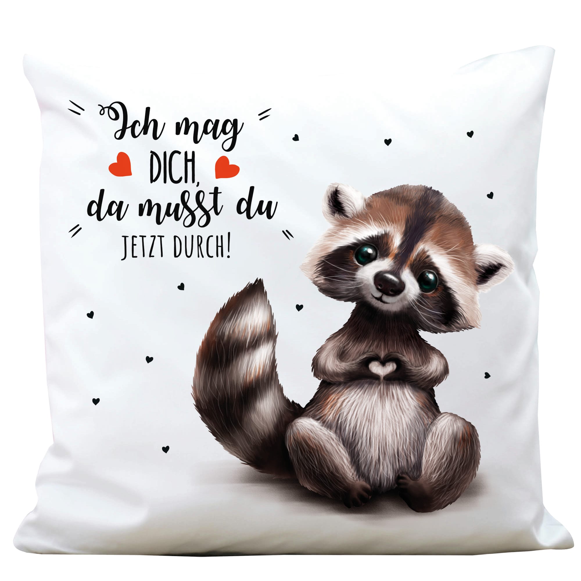 Auf dem Bild ist das Produkt: Deko Kissen Waschbär ich mag dich Geschenk Geburtstag 40 x 40 cm mit Füllung zum Preis von €11.90 abgebildet.