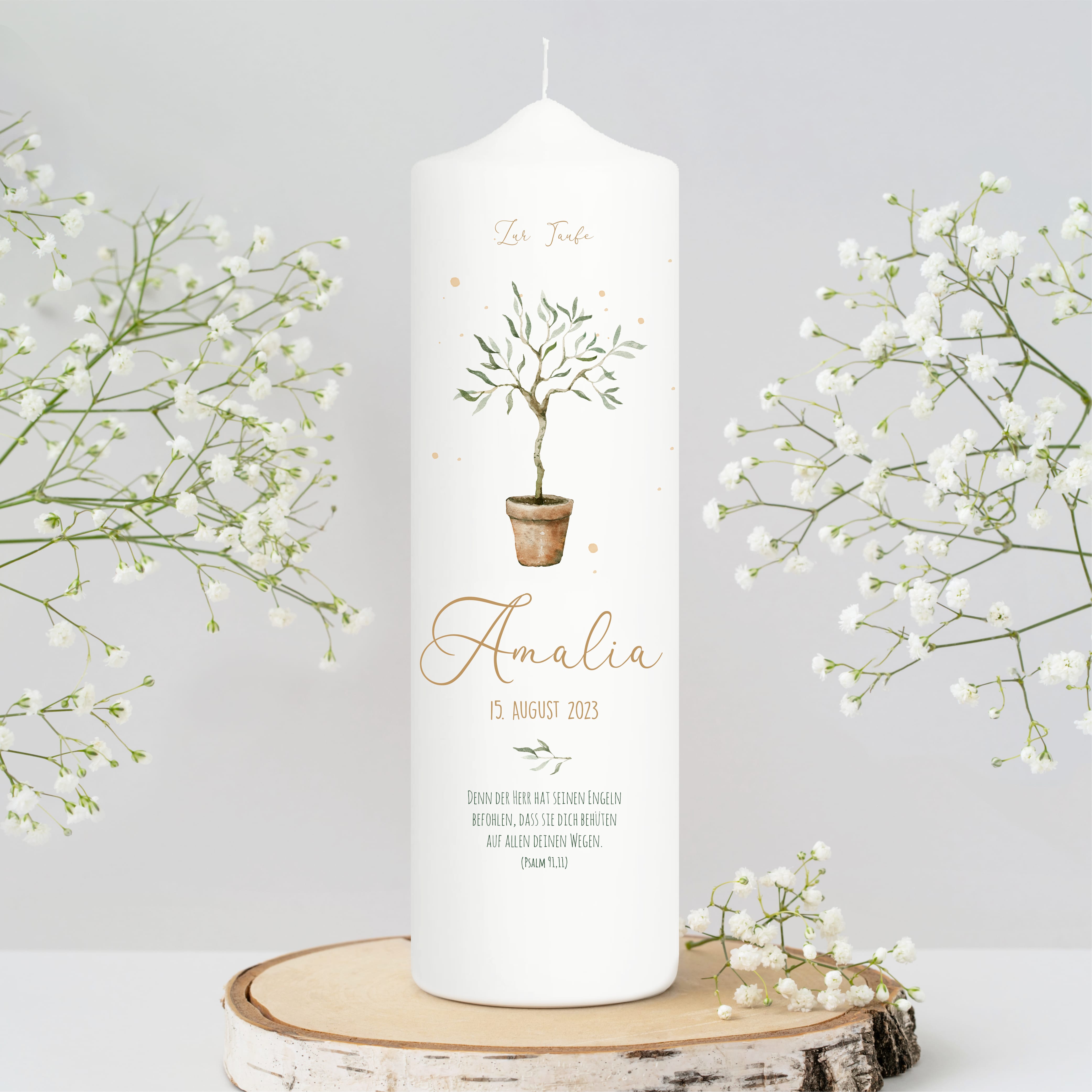 Auf dem Bild ist das Produkt: Taufkerze oder Kerze zur Geburt Junge Mädchen junger Oliven Baum Bäumchen pastell mit Namen, Datum und Spruch zum Preis von €6.4 abgebildet.
