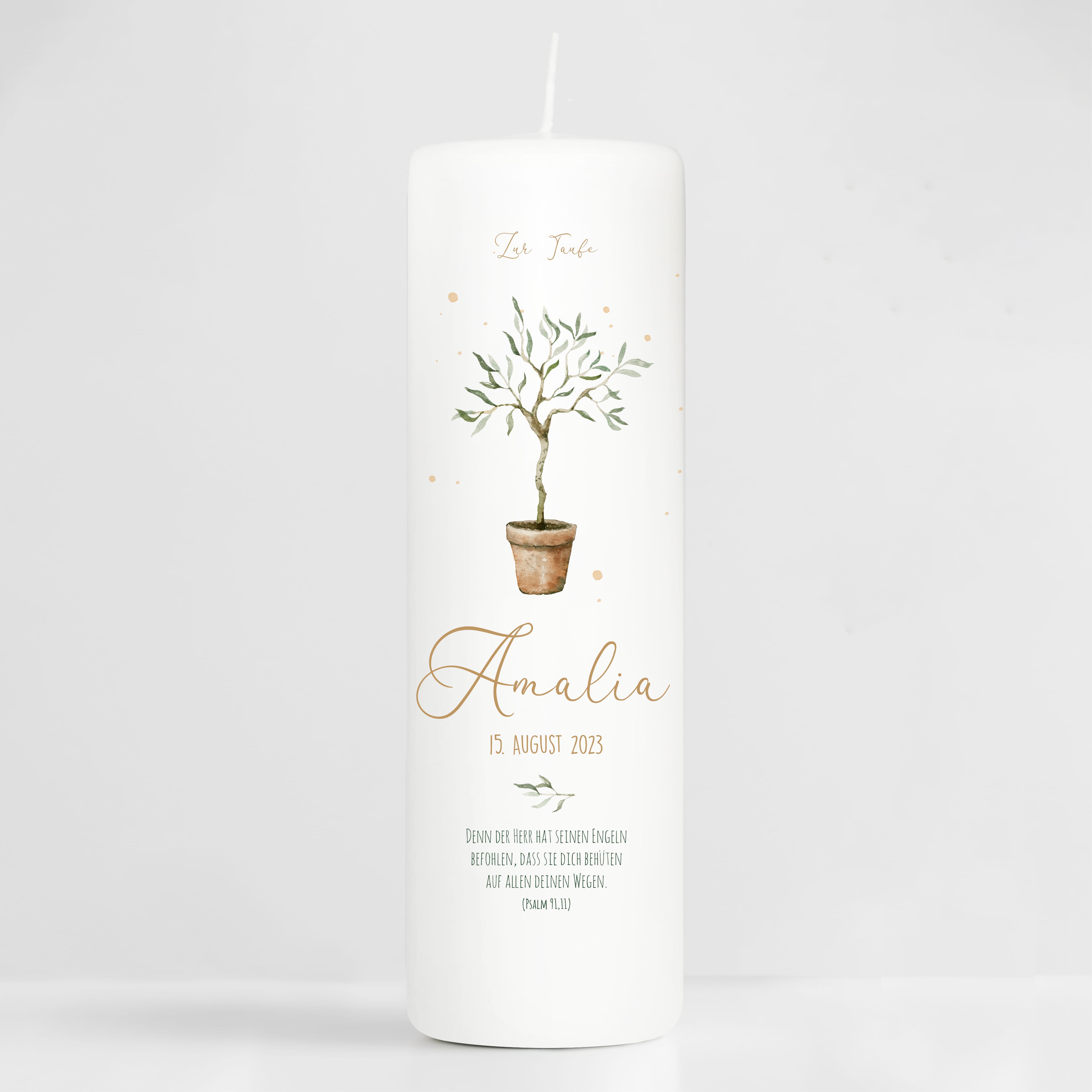 Auf dem Bild ist das Produkt: Taufkerze oder Kerze zur Geburt Junge Mädchen junger Oliven Baum Bäumchen pastell mit Namen, Datum und Spruch zum Preis von €6.4 abgebildet.