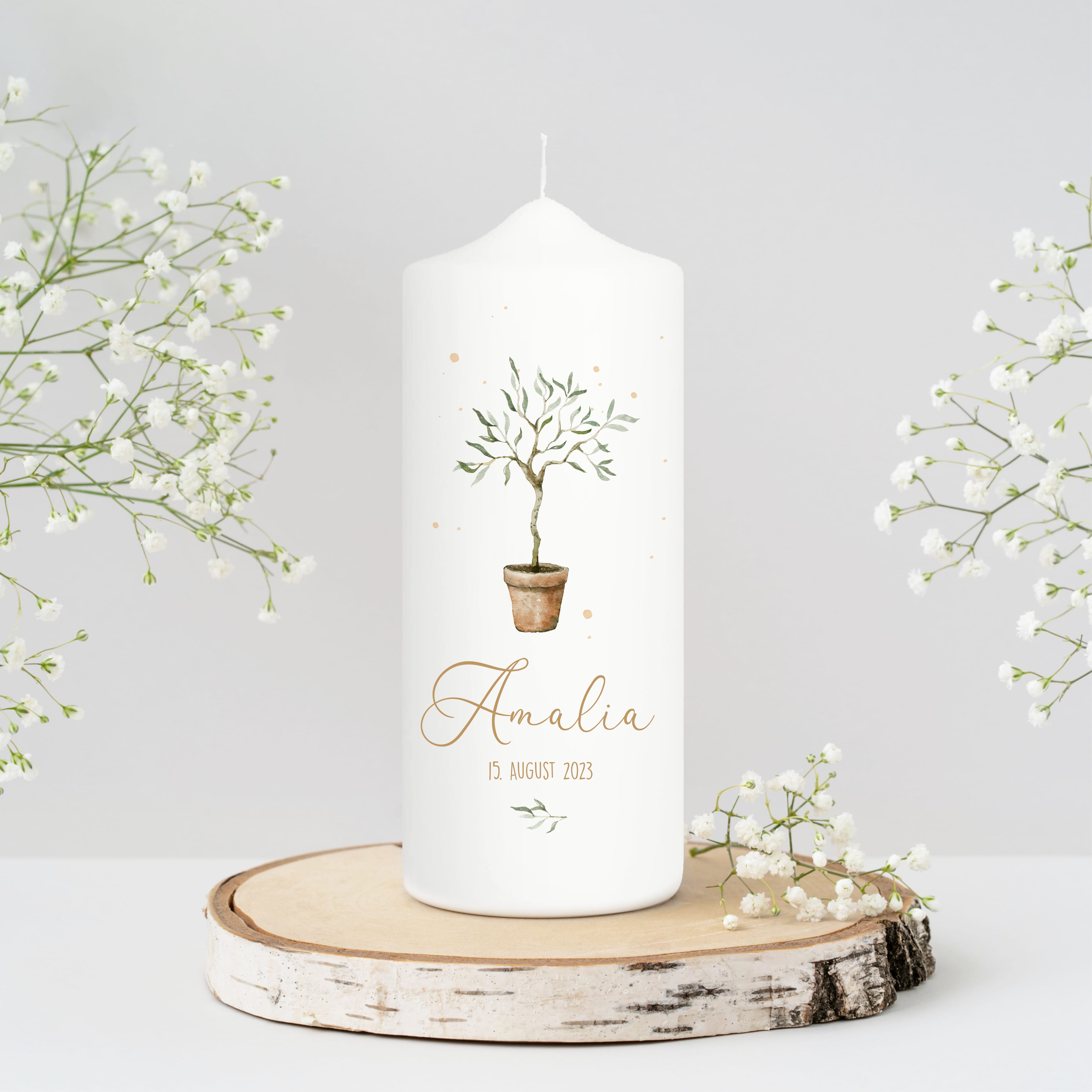 Auf dem Bild ist das Produkt: Taufkerze oder Kerze zur Geburt Junge Mädchen junger Oliven Baum Bäumchen pastell mit Namen, Datum und Spruch zum Preis von €6.4 abgebildet.