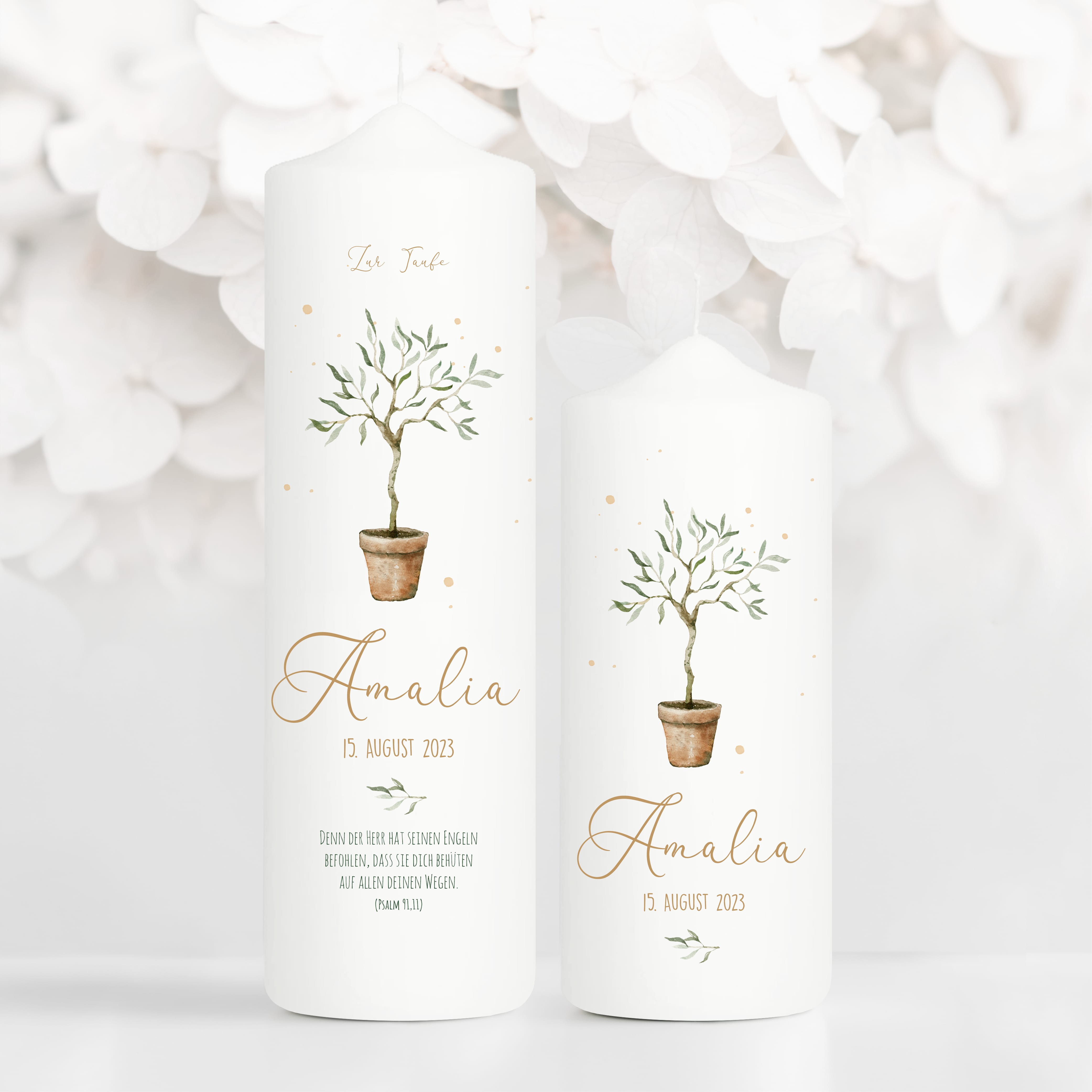 Auf dem Bild ist das Produkt: Taufkerze oder Kerze zur Geburt Junge Mädchen junger Oliven Baum Bäumchen pastell mit Namen, Datum und Spruch zum Preis von €6.4 abgebildet.