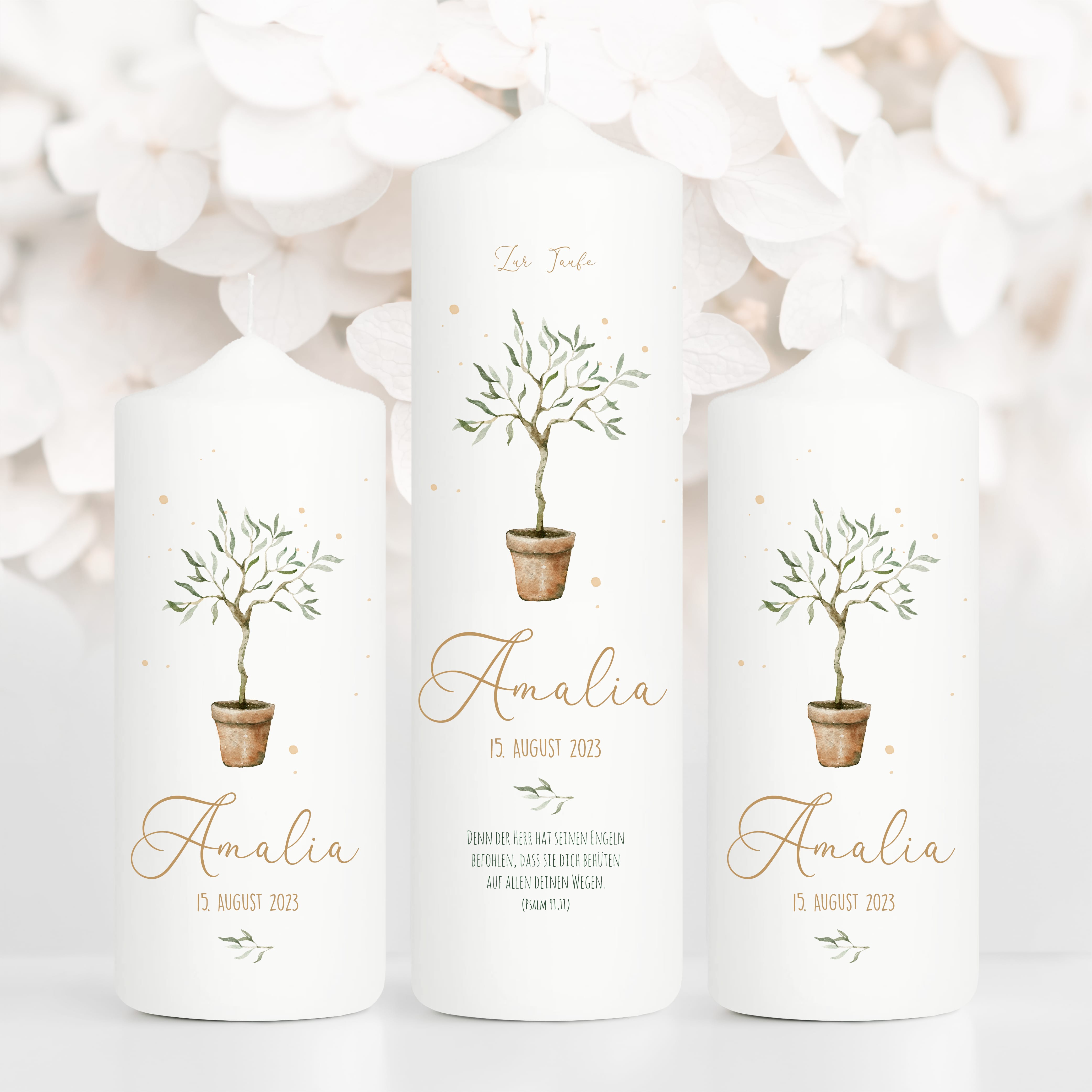 Auf dem Bild ist das Produkt: Taufkerze oder Kerze zur Geburt Junge Mädchen junger Oliven Baum Bäumchen pastell mit Namen, Datum und Spruch zum Preis von €6.4 abgebildet.