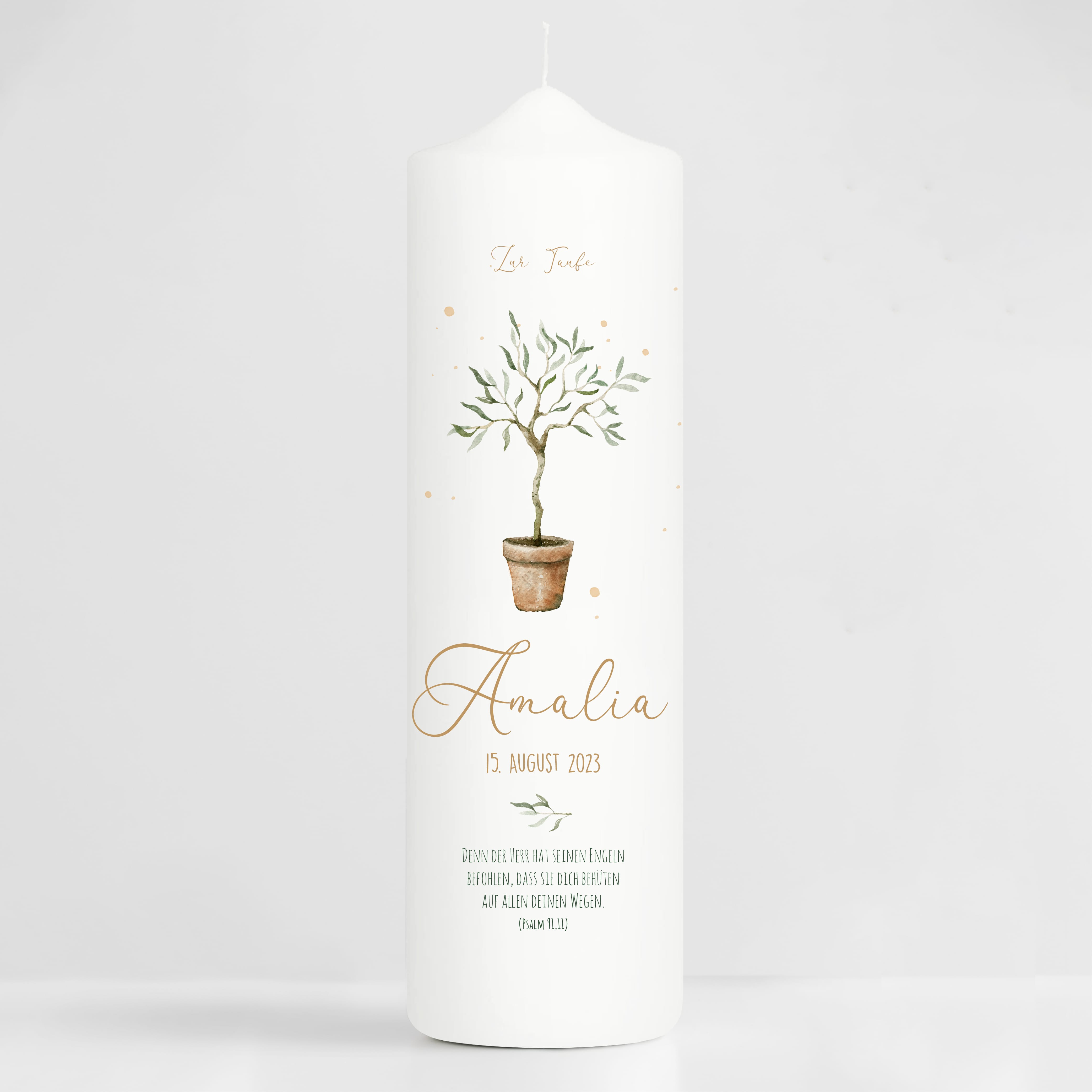 Auf dem Bild ist das Produkt: Taufkerze oder Kerze zur Geburt Junge Mädchen junger Oliven Baum Bäumchen pastell mit Namen, Datum und Spruch zum Preis von €6.4 abgebildet.