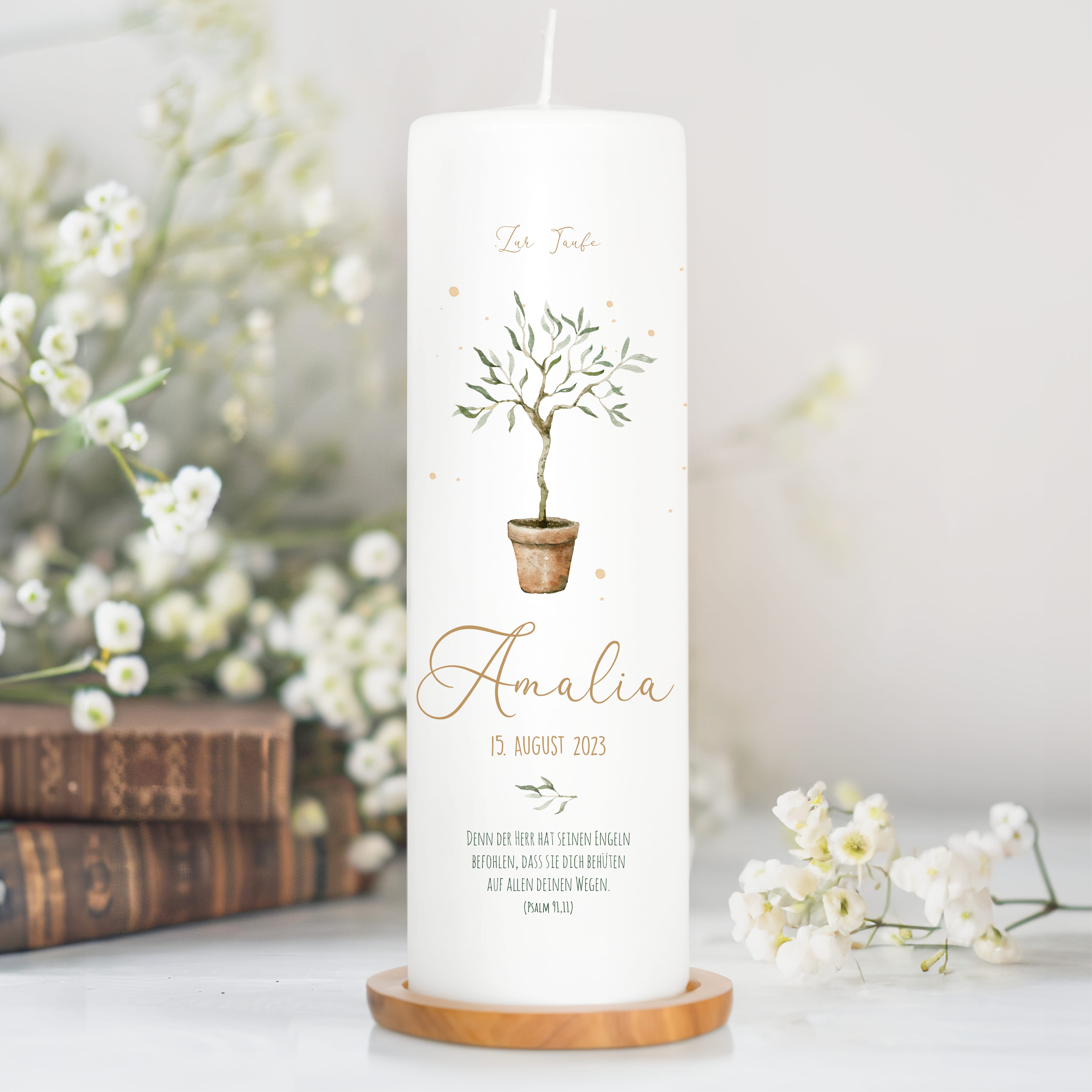 Auf dem Bild ist das Produkt: Taufkerze oder Kerze zur Geburt Junge Mädchen junger Oliven Baum Bäumchen pastell mit Namen, Datum und Spruch zum Preis von €6.4 abgebildet.
