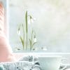 Fensterbild Frühling Ostern Schneeglöckchen Blumenwiese Fensterdeko wiederverwendbar Auf dem Bild ist das Produkt: Fensterbild Frühling Ostern Schneeglöckchen Blumenwiese Fensterdeko wiederverwendbar zum Preis von €13.90 abgebildet.