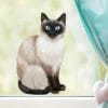 Auf dem Bild ist das Produkt: Fensterbild sitzende Katzen Siamkatze Perserkatze Katzenrassen, Fensterdeko Kinderzimmer Kind Osterdeko Frühlingsdeko zum Preis von €13.90 abgebildet.