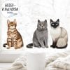 Auf dem Bild ist das Produkt: Fensterbild sitzende Katzen Siamkatze Perserkatze Katzenrassen, Fensterdeko Kinderzimmer Kind Osterdeko Frühlingsdeko zum Preis von €13.90 abgebildet.