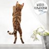 Auf dem Bild ist das Produkt: Fensterbild stehende Katze Rückansicht Fensterdeko Kinderzimmer Kind Osterdeko Frühlingsdeko zum Preis von €13.9 abgebildet.