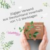 Tasse bedruckt Fuchs Pusteblume personalisiert Wunschname Fuchstasse Geschenk Geburtstag Auf dem Bild ist das Produkt: Tasse bedruckt Fuchs Pusteblume personalisiert Wunschname Fuchstasse Geschenk Geburtstag zum Preis von €18.9 abgebildet.
