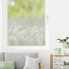 Auf dem Bild ist das Produkt: Sichtschutzfolie Gypsophila Schleierkraut florale Fensterfolie Fensterdeko Milchglasfolie Wiederverwendbar zum Preis von €24.9 abgebildet.