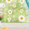 Auf dem Bild ist das Produkt: Fensterbild Kamille wiederverwendbar weiß Blumen Gänseblümchen Fensterdekoration zum Preis von €13.9 abgebildet.