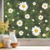 Auf dem Bild ist das Produkt: Fensterbild Kamille wiederverwendbar weiß Blumen Gänseblümchen Fensterdekoration zum Preis von €13.9 abgebildet.
