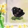 Auf dem Bild ist das Produkt: Fensterbild Frühling Ostern Vogelkinder bunte Fensterdekoration wiederverwendbare Fenstersticker, Osterdeko, Frühlingsdeko zum Preis von €13.90 abgebildet.